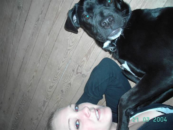 Blanding af racer Dipsi <3 aflivet ;( - de bedste venner i verden  billede 15