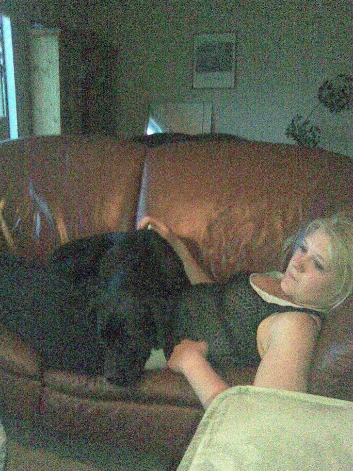 Blanding af racer Dipsi <3 aflivet ;( - hehe mig og dipsi , tager en slapper :P billede 18