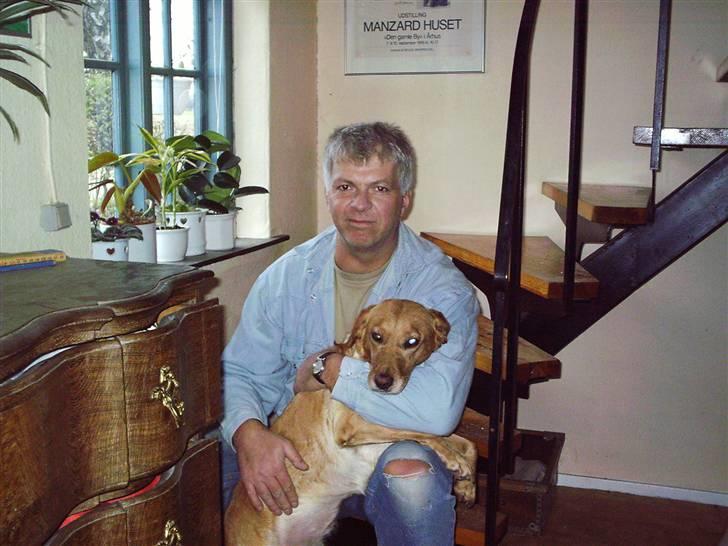 Blanding af racer Lady - Far og Lady billede 4