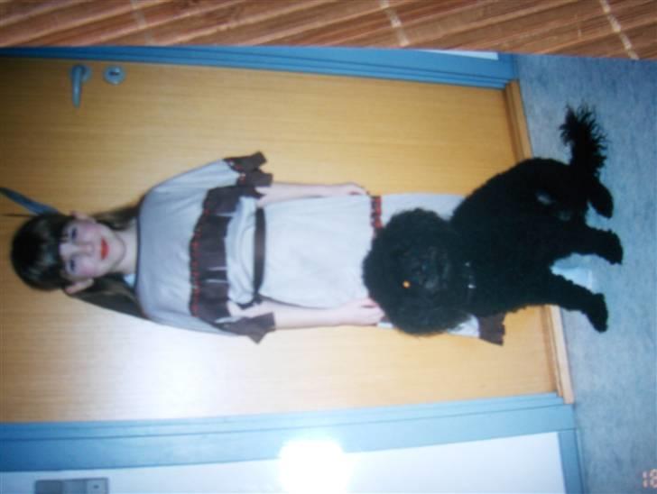 Blanding af racer Ingolf  *DØD* - Min søster og Ingolf heeh...:D billede 10