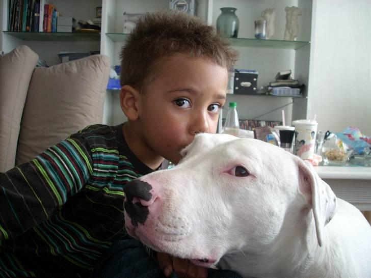 Blanding af racer Emma Dilemma R.I.P - Sig mig hvad er det han laver? billede 4