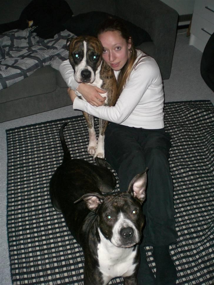 Blanding af racer Raya - Raya på besøg hos hendes bedste veninde Cali billede 19