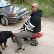 Rottweiler lucky