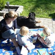 Rottweiler lucky