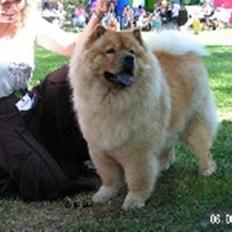 Chow chow Chaina Girl's Petronella