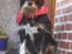 Blanding af racer Brutus Maximus