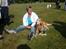 Golden retriever Cæsar 19/11-08 R.i.P - Jago og mig