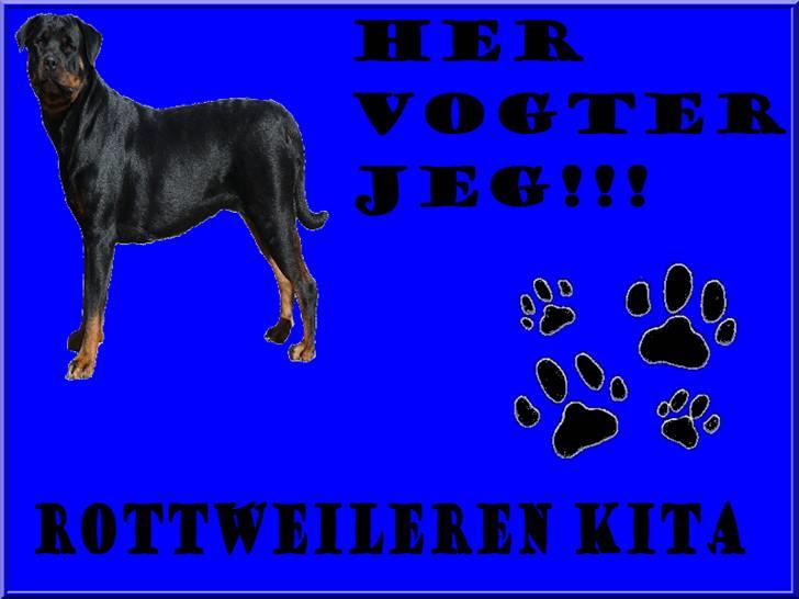Rottweiler Dikadiabolos Ukita R.I.P billede 12