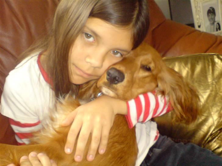 Cocker spaniel Nala - smukke nala..jeg elsker hende. billede 14