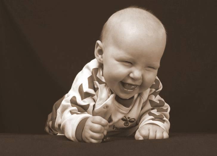 Amerikansk staffordshire terrier carla - Min lillesøster... i kan tro jeg er glad for hende billede 12