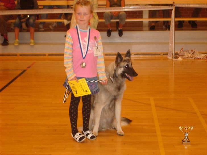 Belgisk hyrdehund Athene - her er jeg sammen med bianca billede 6