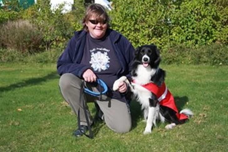Border collie Sweet - vi blev nr 5 til dm billede 8