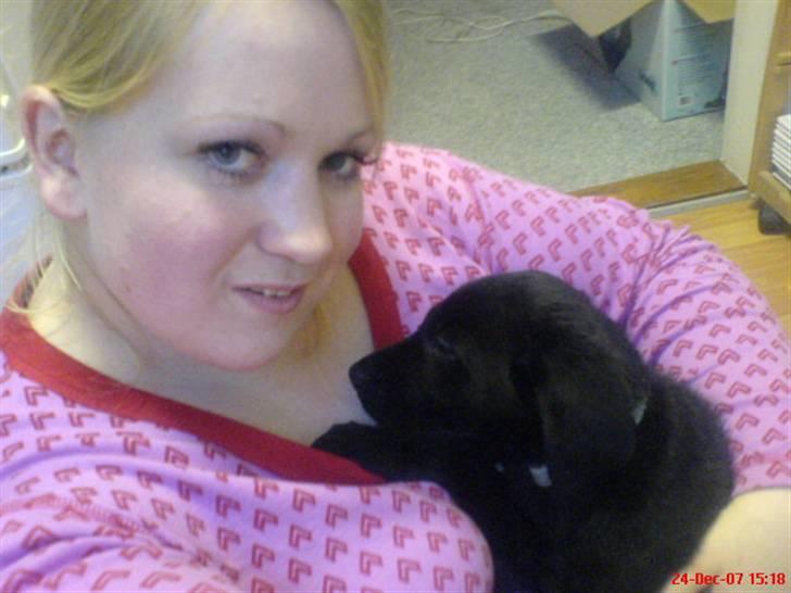 Labrador retriever Tristan - Mig og Tristan billede 7