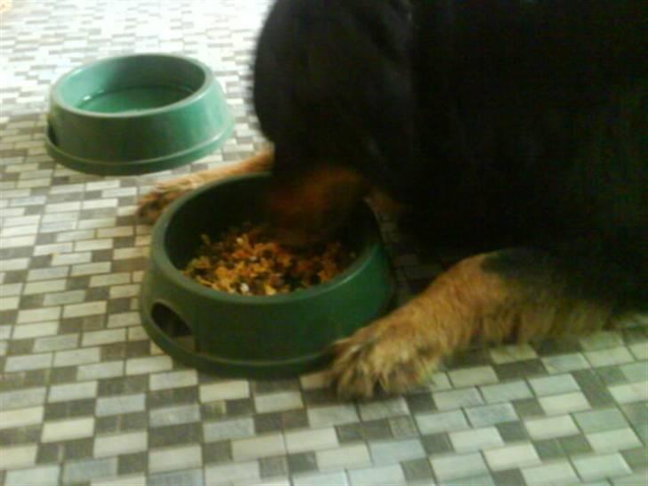 Blanding af racer Thyson ' nye billeder <3 billede 16