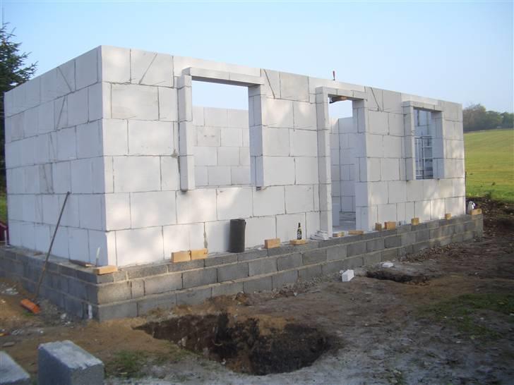 Rottweiler Ozzy  billede 8