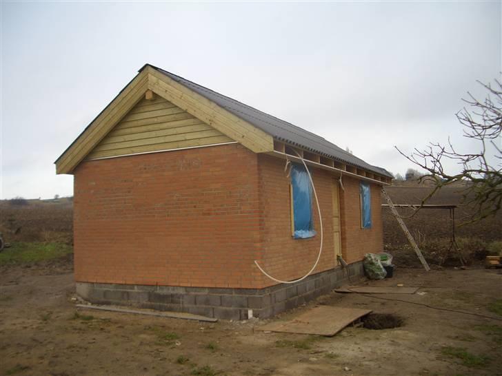 Rottweiler Ozzy  billede 9