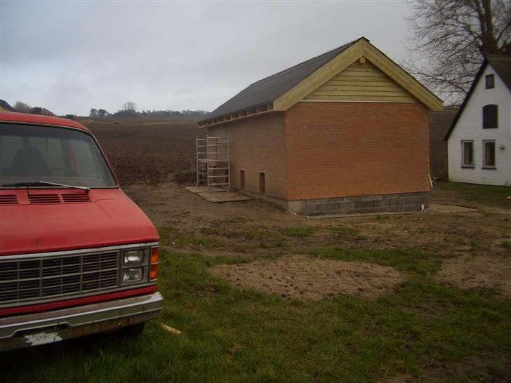 Rottweiler Ozzy  billede 10