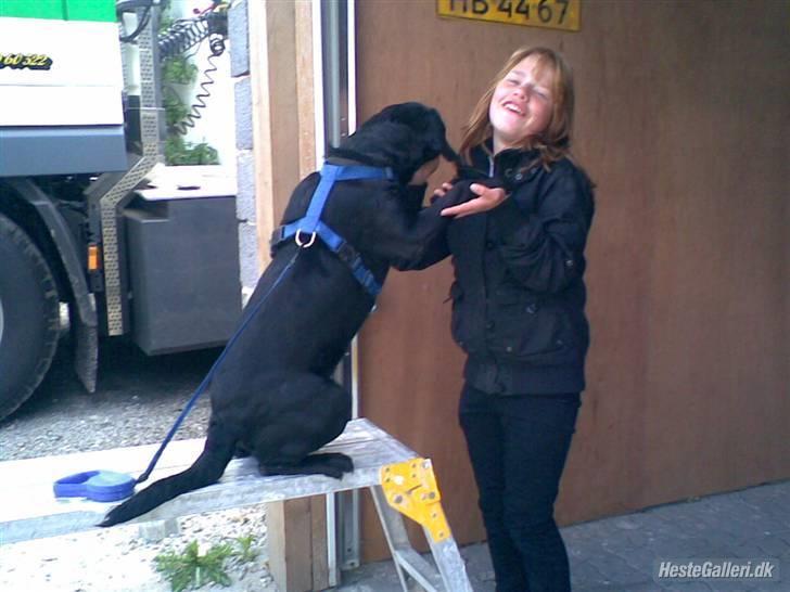 Blanding af racer Cille R.I.P :'( - Så Malene du skal lige have et lille kys billede 2