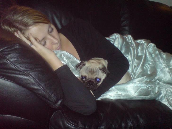 Mops Monkey - Mig og mor putter... dog ikke helt frivillig billede 13