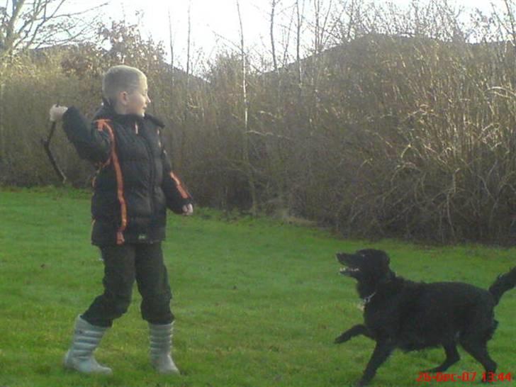 Blanding af racer Locky <3 r.i.p :'( - F o r d i  d u  e r  h u n d e n  i  m i t  l i v  ! billede 13