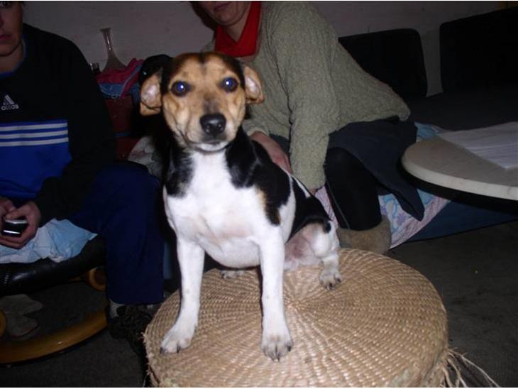 {{currentPhoto.altText}} billede {{currentPhoto.number}}