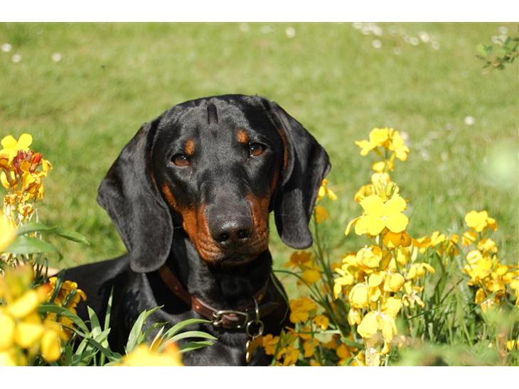 {{currentPhoto.altText}} billede {{currentPhoto.number}}