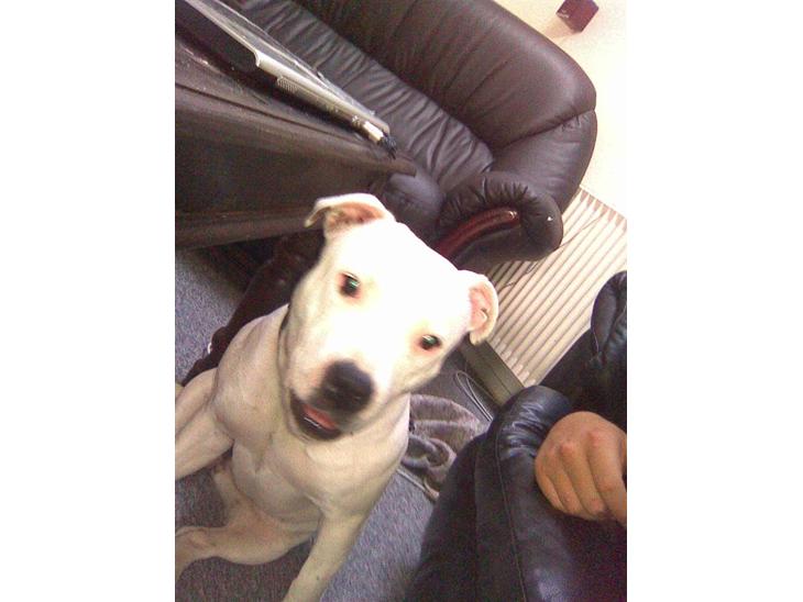 {{currentPhoto.altText}} billede {{currentPhoto.number}}