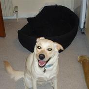 Blanding af racer Mille