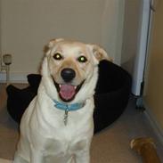 Blanding af racer Mille