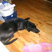 Blanding af racer sif