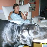 Blanding af racer sif