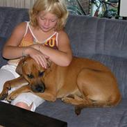 Blanding af racer Freya