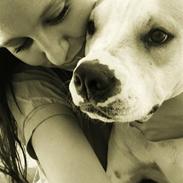 Amerikansk bulldog Luna <3