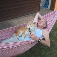 Shiba R.I.P Zennmai :( <3