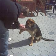 Blanding af racer rocki