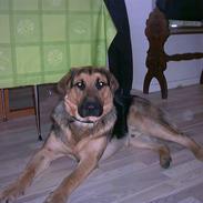 Blanding af racer rocki