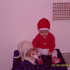 Dansk svensk gaardhund petti  R.I.P 11.11.09