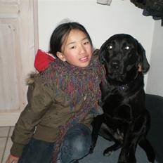 Labrador retriever Sweetwater's Bufftown DØD