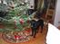 Flat coated retriever Fia (Kennelnavn Honey)  - Fia´s første jul<3 