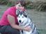 Alaskan malamute Mojo   - Ta nu et billede , så jeg ka komme ud og støve mus op...
