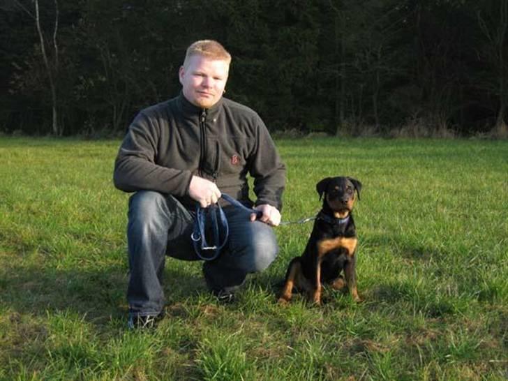 Rottweiler Elmedige´s Manny - efterårs afslutning kreds 7 2007 billede 4