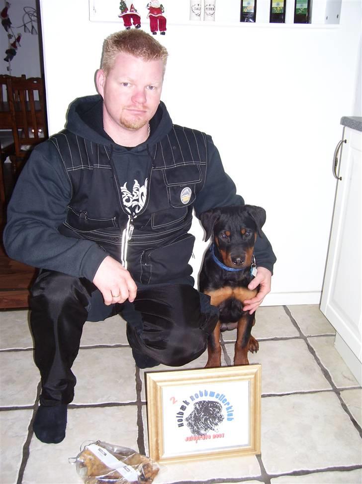 Rottweiler Elmedige´s Manny - juleprøve dec 2007 billede 5