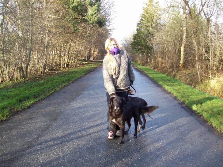 Blanding af racer Buffy - Elskede Buffy og hendes elskede mor  på tur ud i verden..... billede 5