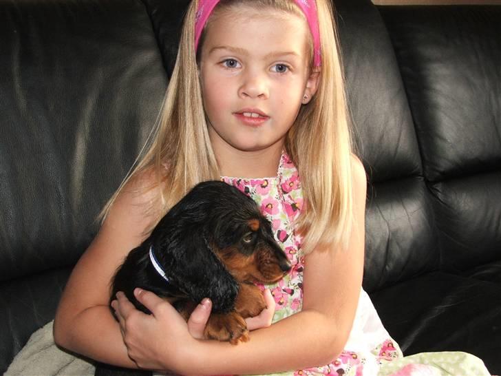 Gravhund magnus - julie og magnus hygger. billede 2