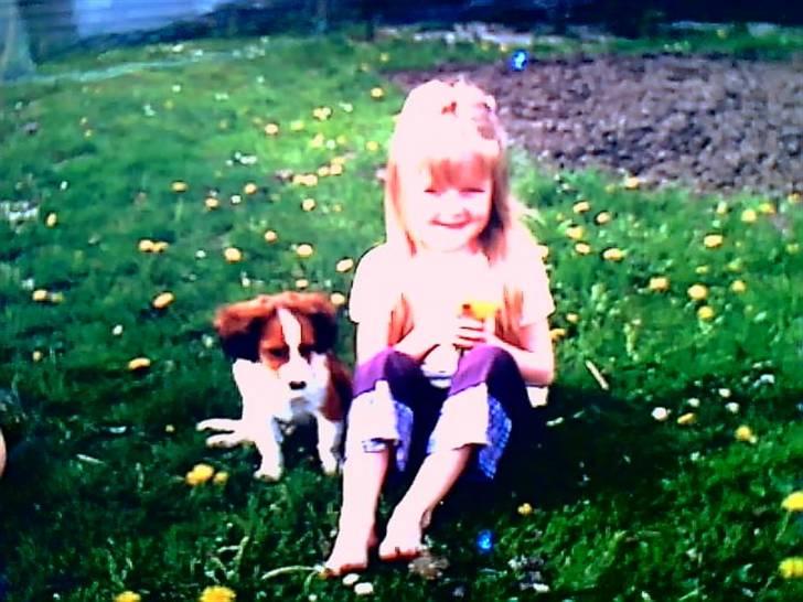 Kooikerhondje Soya Taka Otello -solgt-  billede 8