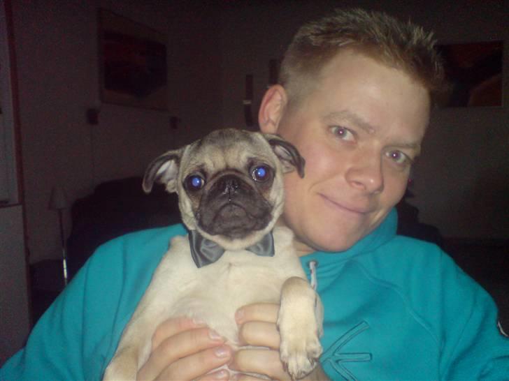 Mops Monkey - GODT NYTÅR FRA MIG OG MONKEY TIL ALLE  billede 18