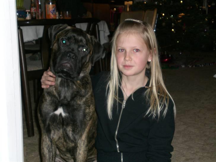 Bullmastiff Berta - Mig & Berta :) ude hos mormor og bedstefar <3 billede 2