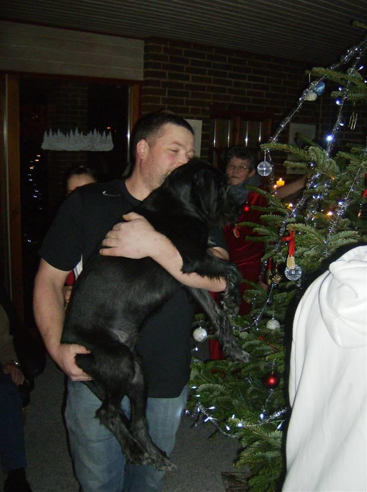 Blanding af racer Laika 18/7 - Laika hunden selv får dobbelt suuuul - hun skal også vide det er jul - jul jul jul juuuul billede 18