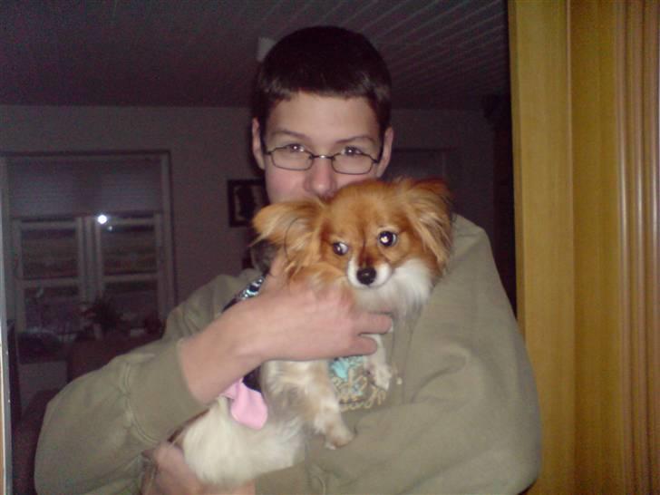 Papillon molly - her er jeg og min ven  billede 13