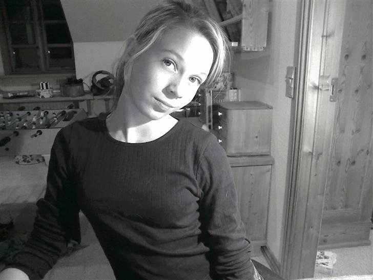 Field spaniel spif<3 ( nye billeder ) - det er mig karoline<3 billede 3